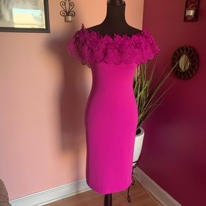 Fashion Nova: Magenta knee length dress